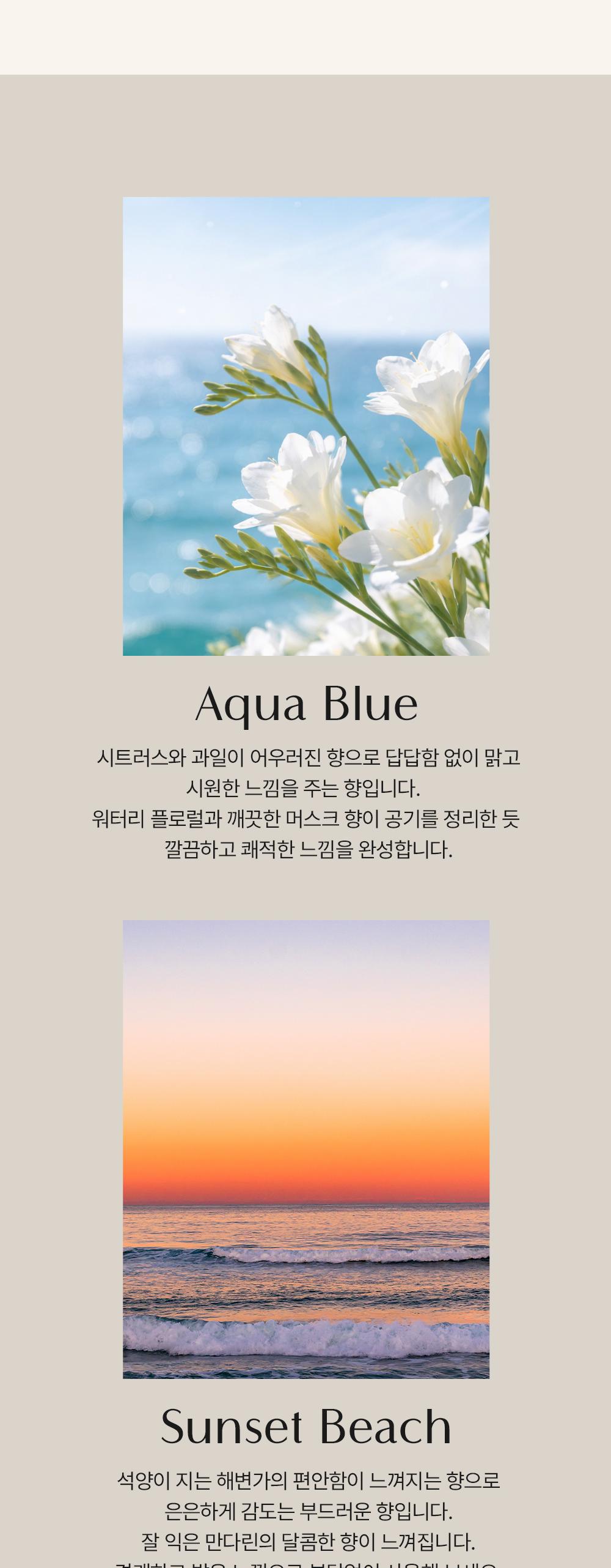 BAS 대용량 탈취제 BIG 아쿠아블루 1개*소분용기*2개*스푼 1개 상세 이미지 8