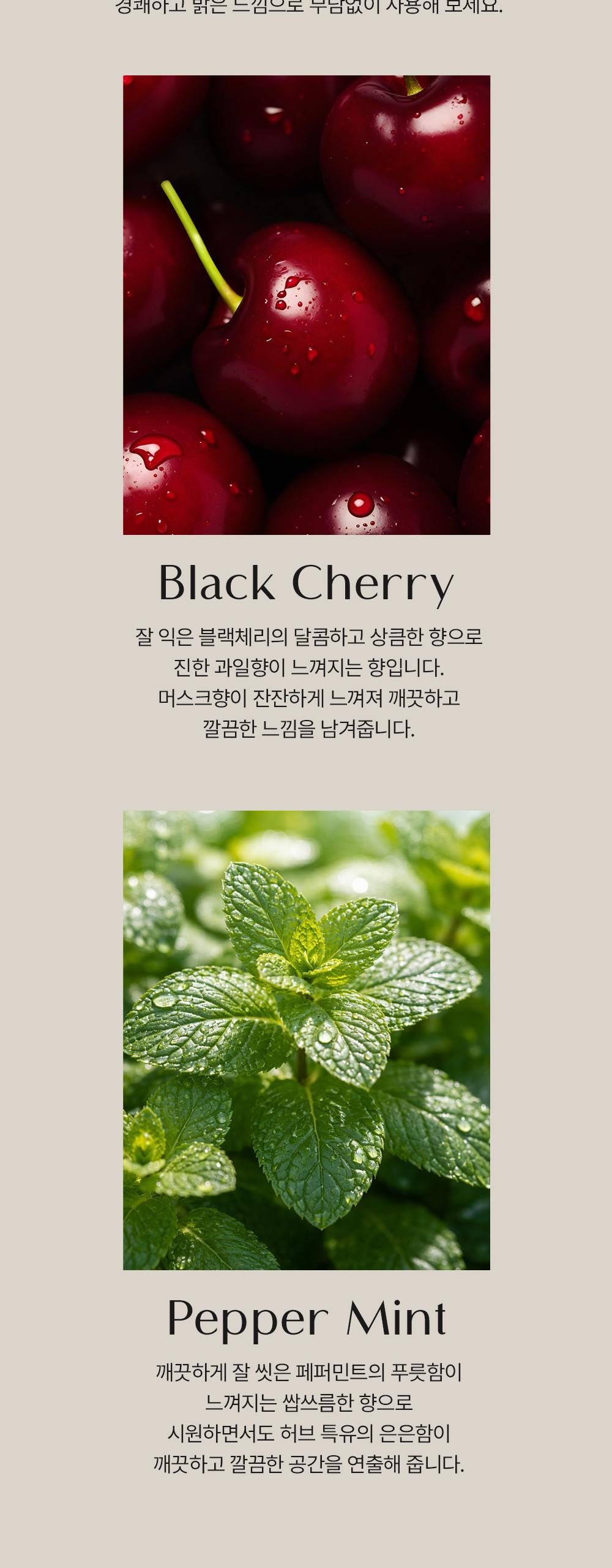 BAS 대용량 탈취제 BIG 페퍼민트 1개*소분용기*2개*스푼 1개 상세 이미지 9