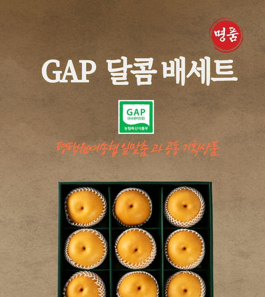 S 동원실라 올리실라 GAP 품질 인증 배세트 9입 상세 이미지 2