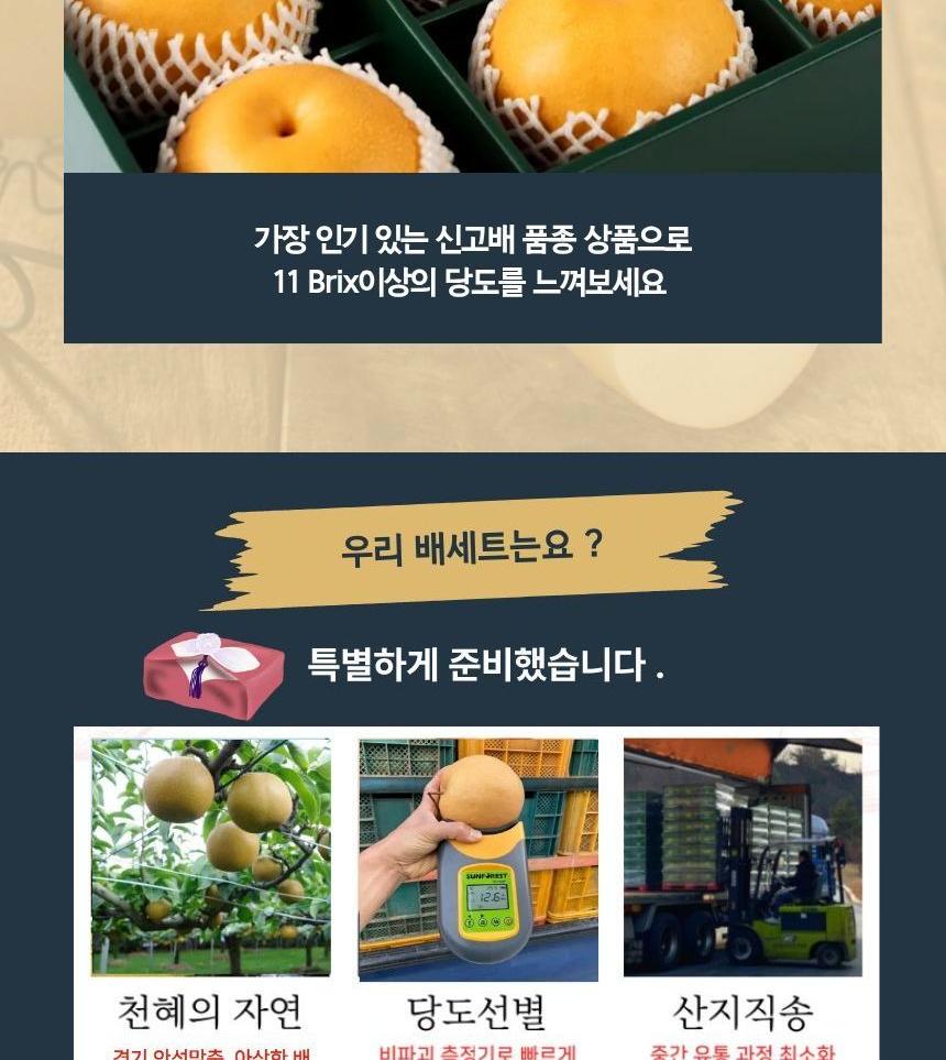S 동원실라 올리실라 GAP 품질 인증 배세트 9입 상세 이미지 5