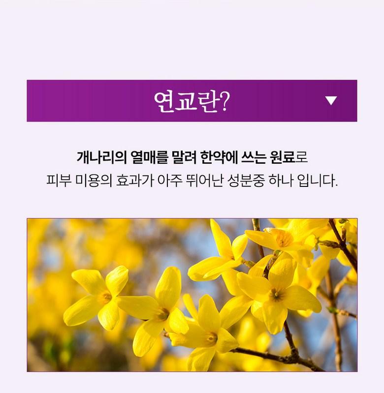 코리아나 한방미인 화영지 연교 6종세트 상세 이미지 4