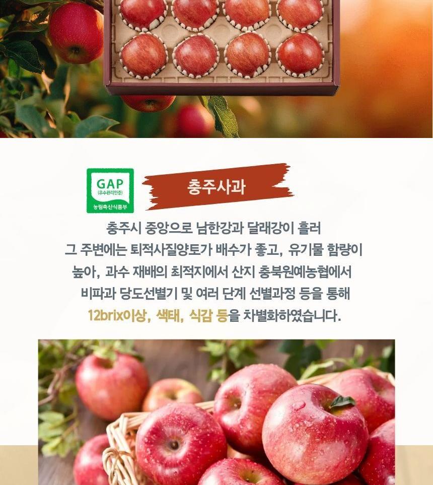 S 동원실라 프레샤인 GAP 품질 인증 사과세트 3kg 상세 이미지 4
