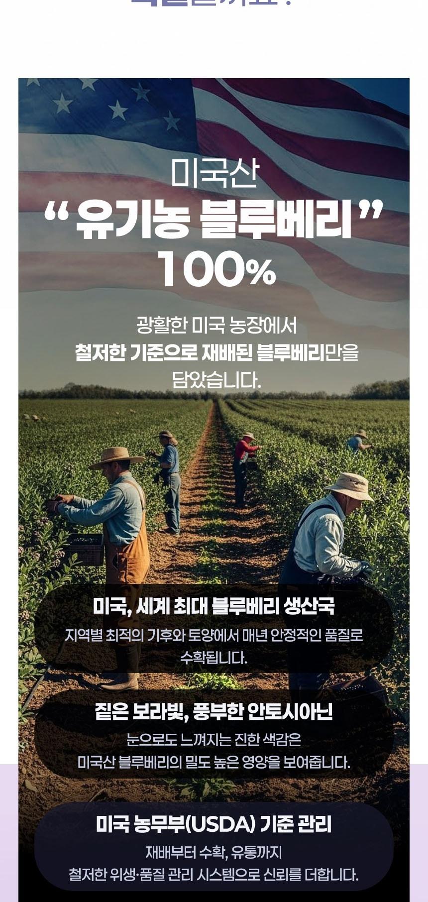 뷰티끄랩 유기농 블루베리 착즙 100% 스틱 (20gx10포) 상세 이미지 4